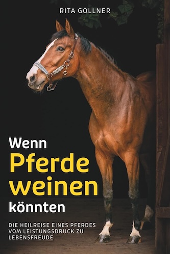 Oma´s Weihnachtsrezepte - Rita Gollner