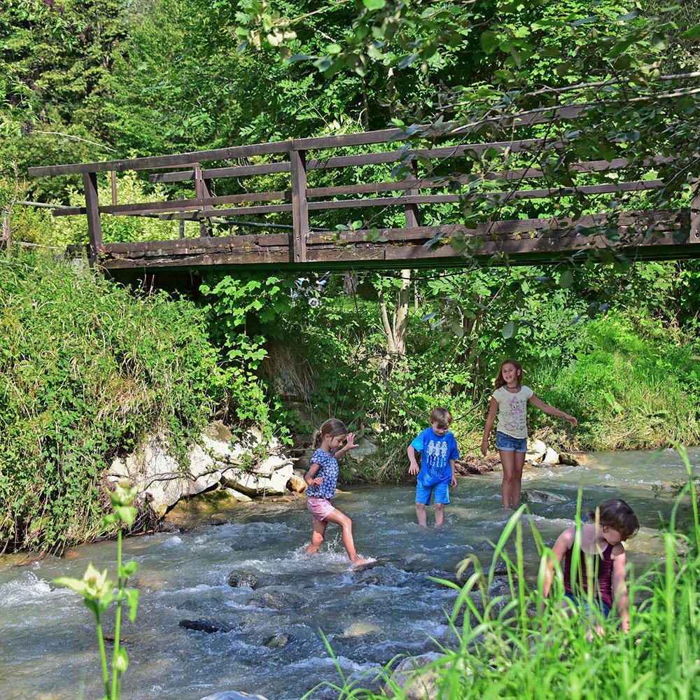 Pension Nähe Villach bei Gerlitzen am Ossiacher See - Kinder spielen in der Natur