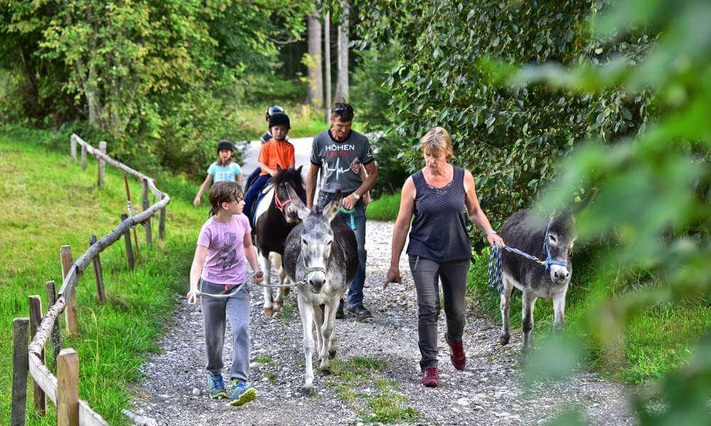 Reiturlaub mit Pferden in Pension Pilsachhof in Kärnten - Ausritte und geführte Wanderungen