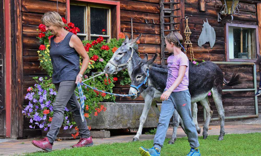 Urlaub mit Pferden am Pilsachhof in Kärnten - Österreich