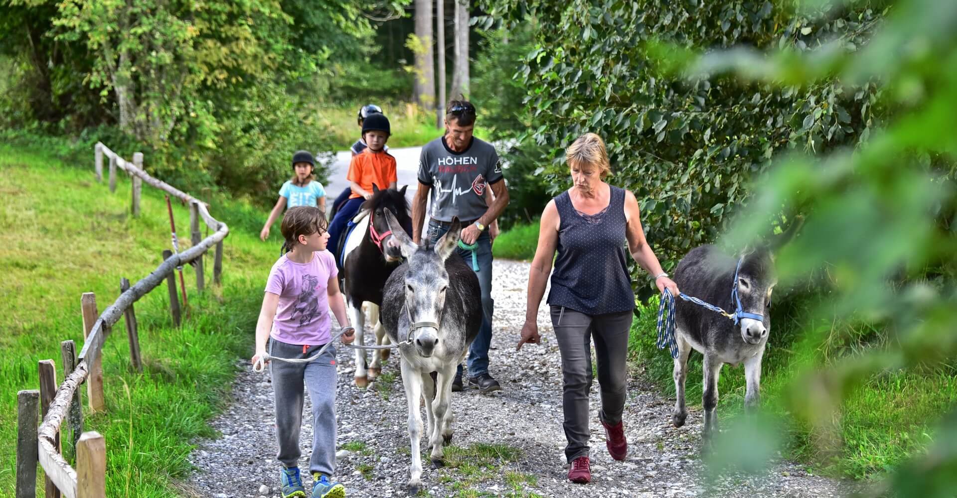 Familienurlaub mit Pferden und Tieren in Kärnten am Pilsachhof Region Villach - Gerlitzen - Ossiacher See in Arriach